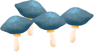 mushroom